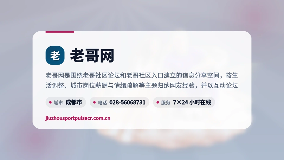 老哥网概况